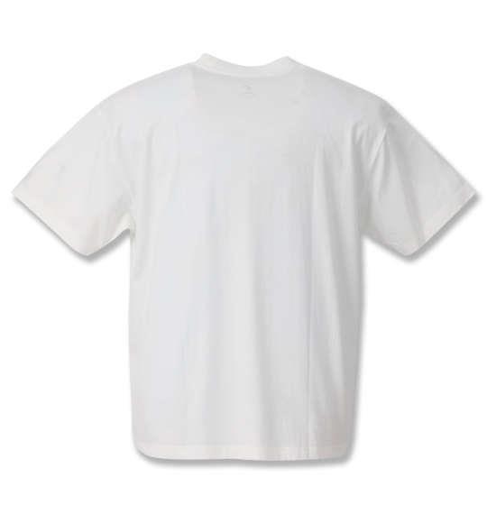 大きいサイズ メンズ OCEAN PACIFIC プリント 半袖 Tシャツ ホワイト 1268-0261-1 3L 4L 5L 6L 8L