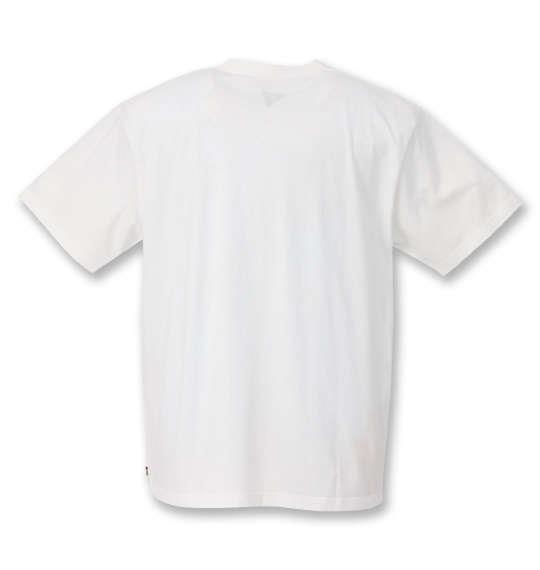 大きいサイズ メンズ RUSTY プリント 半袖 Tシャツ ホワイト 1268-0272-1 3L 4L 5L 6L 8L