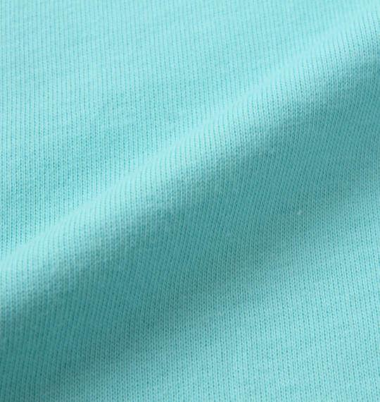大きいサイズ メンズ RUSTY プリント 半袖 Tシャツ ミント 1268-0273-1 3L 4L 5L 6L 8L