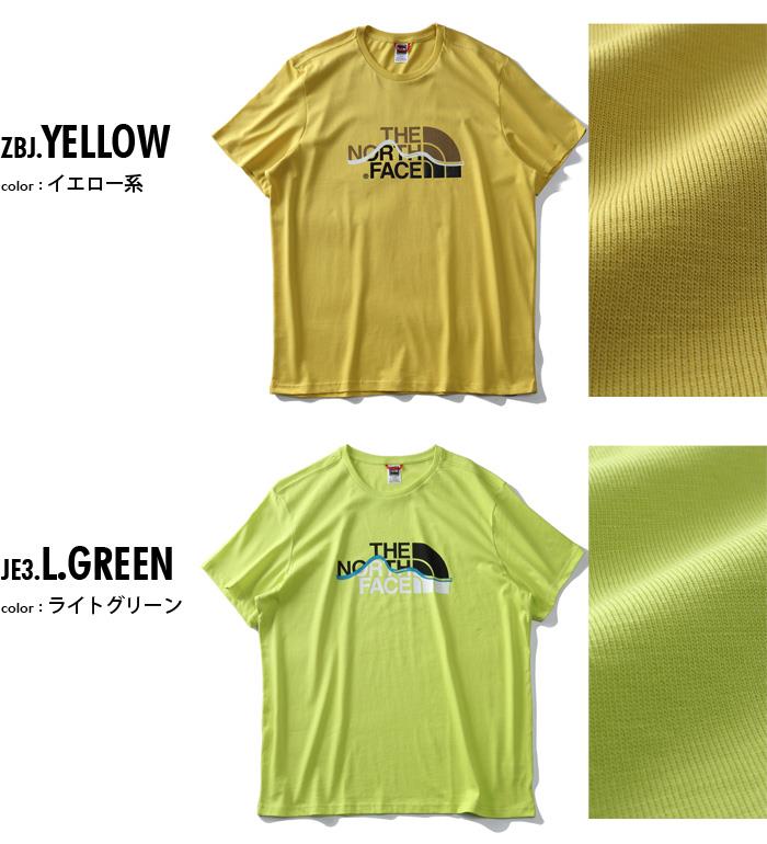 【WEB限定価格】ブランドセール 大きいサイズ メンズ THE NORTH FACE ザ ノース フェイス プリント 半袖 Tシャツ USA直輸入 nf00a3g2