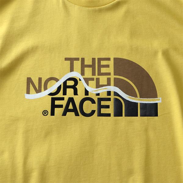 【WEB限定価格】ブランドセール 大きいサイズ メンズ THE NORTH FACE ザ ノース フェイス プリント 半袖 Tシャツ USA直輸入 nf00a3g2