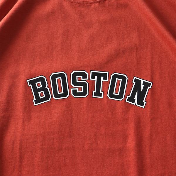 【WEB限定価格】大きいサイズ メンズ DANIEL DODD オーガニック プリント 半袖 Tシャツ BOSTON azt-200256