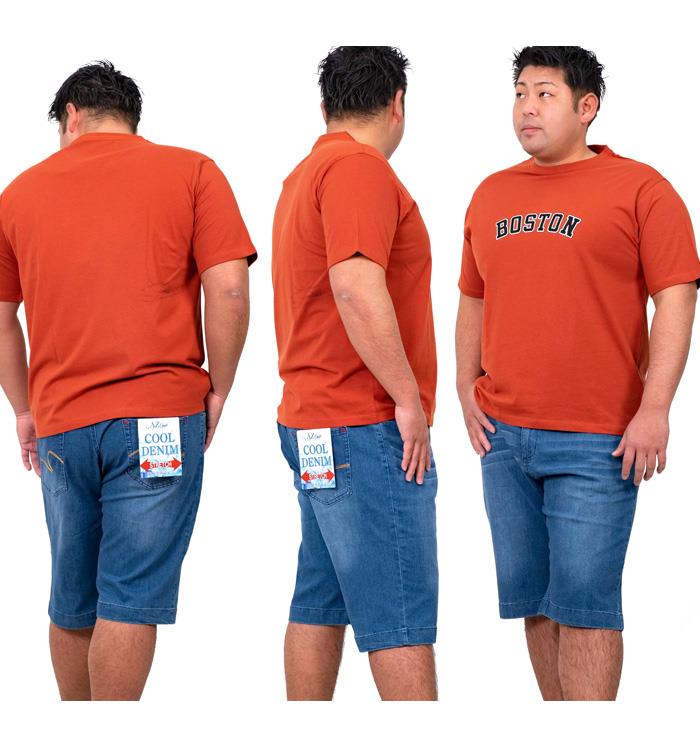 【WEB限定価格】大きいサイズ メンズ DANIEL DODD オーガニック プリント 半袖 Tシャツ BOSTON azt-200256
