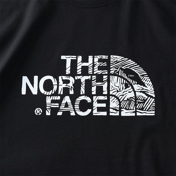 【WEB限定価格】ブランドセール 大きいサイズ メンズ THE NORTH FACE ザ ノース フェイス プリント 半袖 Tシャツ USA直輸入 nf00a3g1