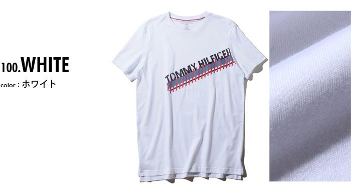 【WEB限定価格】レギュラーサイズ TOMMY HILFIGER トミーヒルフィガー プリント 半袖 Tシャツ メンズ USA直輸入 r09t3549