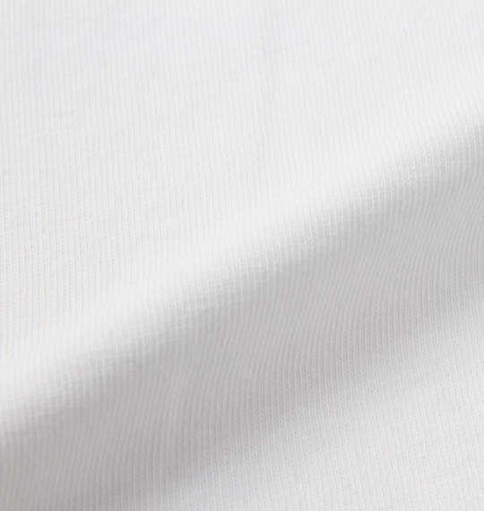 大きいサイズ メンズ DESCENTE ドライコットン 長袖 Tシャツ ホワイト 1278-0361-1 2L 3L 4L 5L 6L