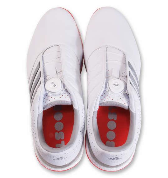 大きいサイズ メンズ adidas golf ゴルフシューズ ツアー360XT-SLボア2 ホワイト × シルバーメタリック × スカーレッド 1240-0301-1 30 31.5