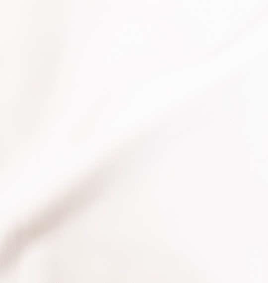 大きいサイズ メンズ Ed Hardy 刺繍 & プリント ジャージ セット オフホワイト 1278-0632-1 3L 4L 5L 6L
