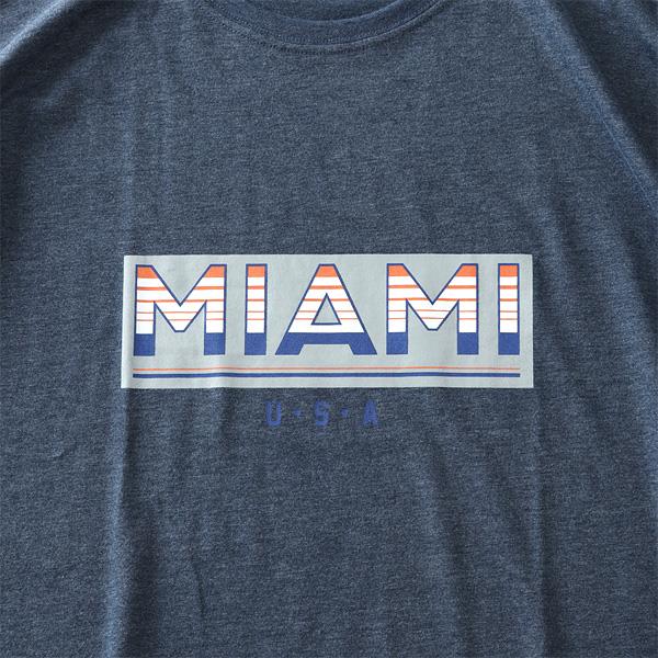 【WEB限定価格】大きいサイズ メンズ DANIEL DODD オーガニックコットン プリント 半袖 Tシャツ MIAMI azt-210215