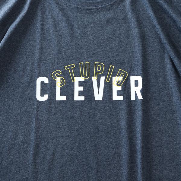 【WEB限定価格】大きいサイズ メンズ DANIEL DODD オーガニックコットン プリント 半袖 Tシャツ CLEVER azt-210224