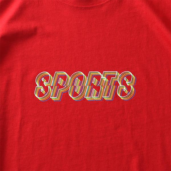 【WEB限定価格】大きいサイズ メンズ DANIEL DODD オーガニックコットン プリント 半袖 Tシャツ SPORTS azt-210241