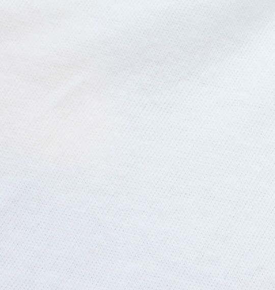 大きいサイズ メンズ RUSTY プリント 半袖 Tシャツ ホワイト 1278-1255-1 3L 4L 5L 6L 8L