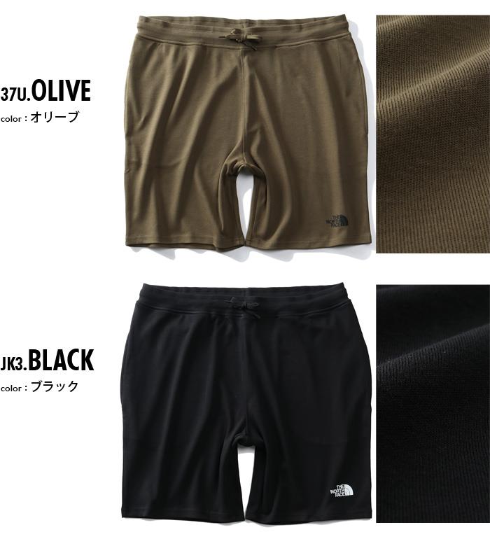 【WEB限定価格】大きいサイズ メンズ THE NORTH FACE ザ ノース フェイス グラフィック ショーツ ライト ハーフパンツ  GRAPHIC SHORT LIGHT USA直輸入 nf0a3s4f
