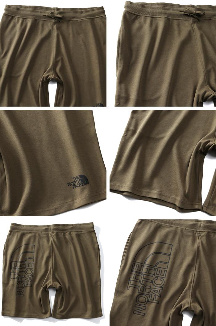 【WEB限定価格】大きいサイズ メンズ THE NORTH FACE ザ ノース フェイス グラフィック ショーツ ライト ハーフパンツ  GRAPHIC SHORT LIGHT USA直輸入 nf0a3s4f