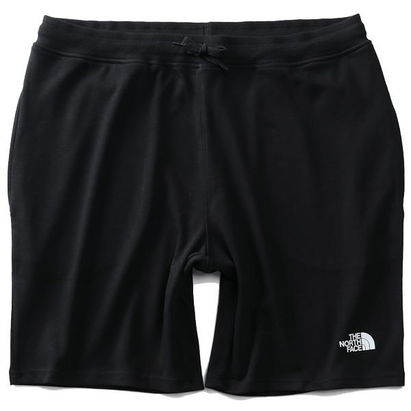 【WEB限定価格】大きいサイズ メンズ THE NORTH FACE ザ ノース フェイス グラフィック ショーツ ライト ハーフパンツ  GRAPHIC SHORT LIGHT USA直輸入 nf0a3s4f