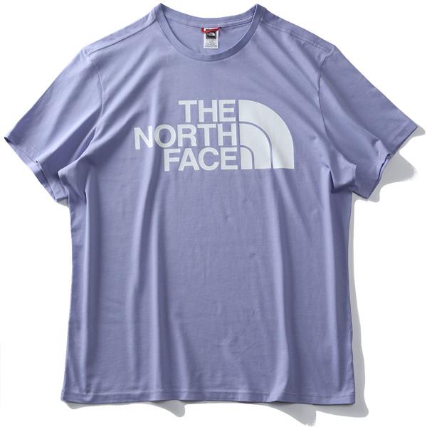 【WEB限定価格】大きいサイズ メンズ THE NORTH FACE ザ ノース フェイス プリント 半袖 Tシャツ STANDARD SS TEE  USA直輸入 nf0a4m7x