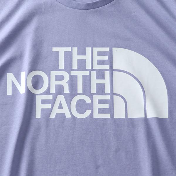 【WEB限定価格】大きいサイズ メンズ THE NORTH FACE ザ ノース フェイス プリント 半袖 Tシャツ STANDARD SS TEE USA直輸入 nf0a4m7x