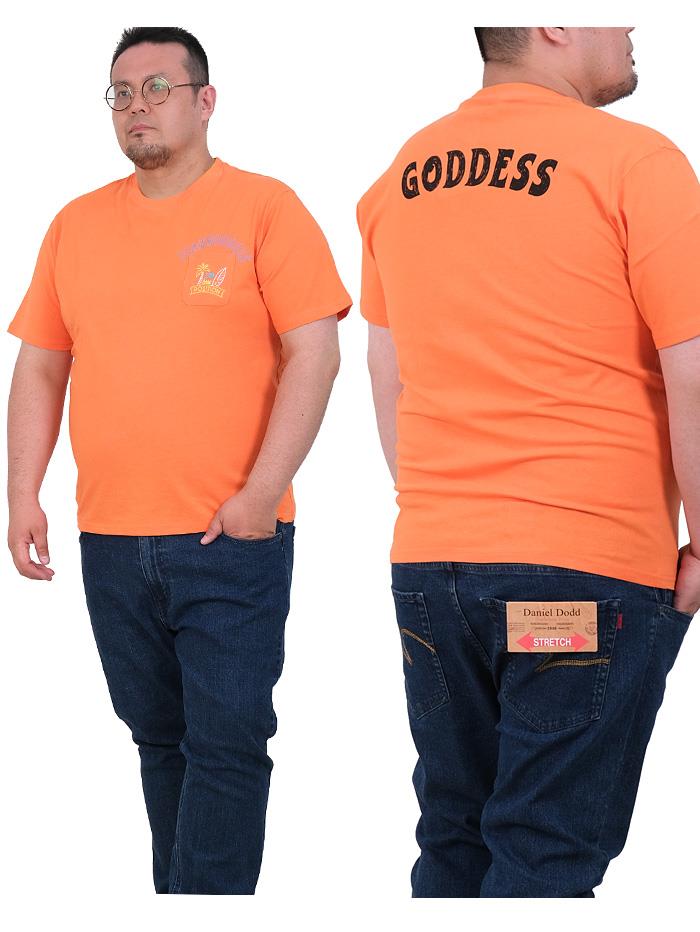 【WEB限定価格】大きいサイズ メンズ GODDESS ゴッデス 半袖 プリント Tシャツ go-22250k