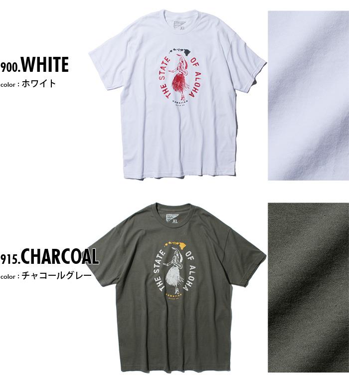 【WEB限定価格】大きいサイズ メンズ HAWAIIAN STYLE ハワイアンスタイル LOCAL MOTION ローカルモーション 半袖 プリント Tシャツ USA直輸入 mts18206