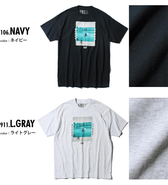 【WEB限定価格】大きいサイズ メンズ LOCAL MOTION ローカルモーション 半袖 プリント Tシャツ USA直輸入 smt18217