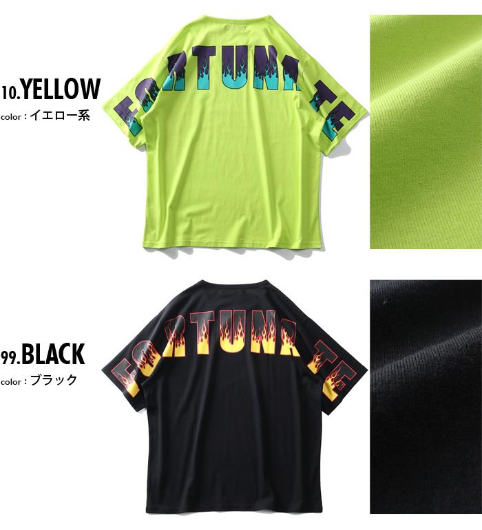 【WEB限定価格】大きいサイズ メンズ NOBLE PRODUCT ノーブルプロダクツ バック ストリート プリント 半袖 Tシャツ ap21521g