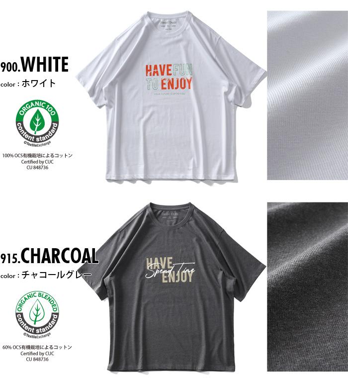 【WEB限定価格】大きいサイズ メンズ DANIEL DODD オーガニックコットン プリント 半袖 Tシャツ HAVE ENJOY azt-210261