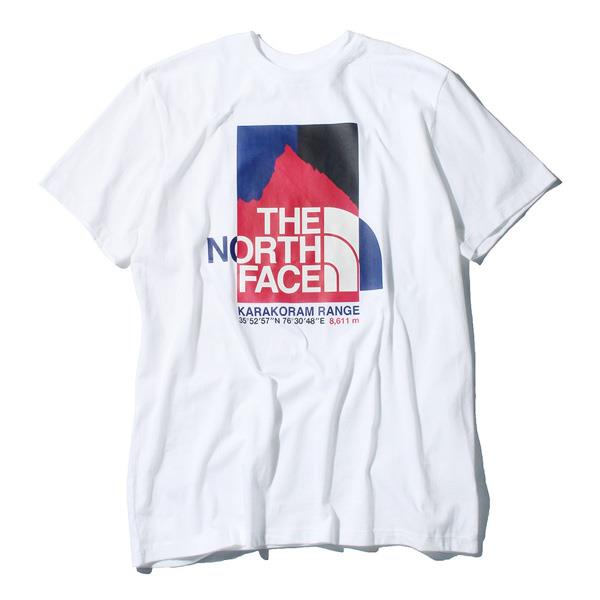 【WEB限定価格】大きいサイズ メンズ THE NORTH FACE ザ ノース フェイス プリント 半袖 Tシャツ USA直輸入 nf0a55ul