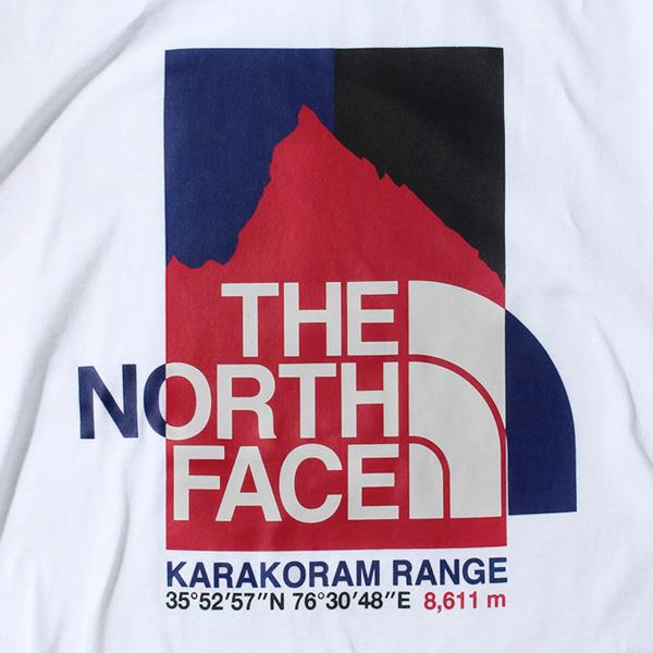 【WEB限定価格】大きいサイズ メンズ THE NORTH FACE ザ ノース フェイス プリント 半袖 Tシャツ USA直輸入 nf0a55ul