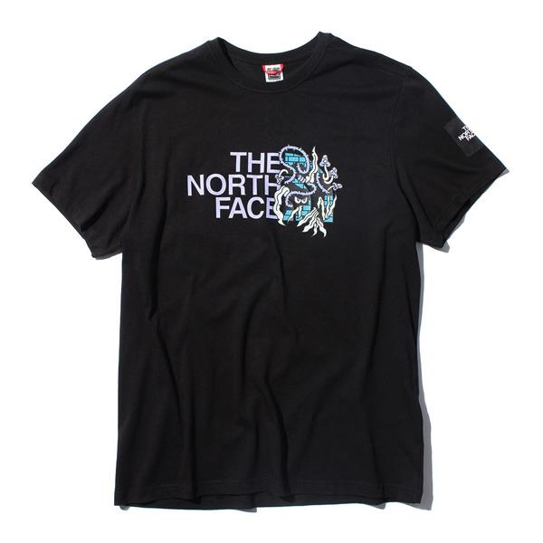 【WEB限定価格】大きいサイズ メンズ THE NORTH FACE ザ ノース フェイス プリント 半袖 Tシャツ USA直輸入 nf0a557l