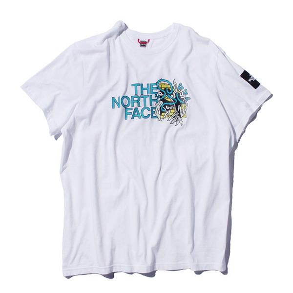 【WEB限定価格】大きいサイズ メンズ THE NORTH FACE ザ ノース フェイス プリント 半袖 Tシャツ USA直輸入 nf0a557l