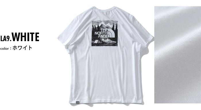 大きいサイズ メンズ THE NORTH FACE ザ ノース フェイス プリント 半袖 Tシャツ REDBOX CEL TEE USA直輸入 nf0a2zxe