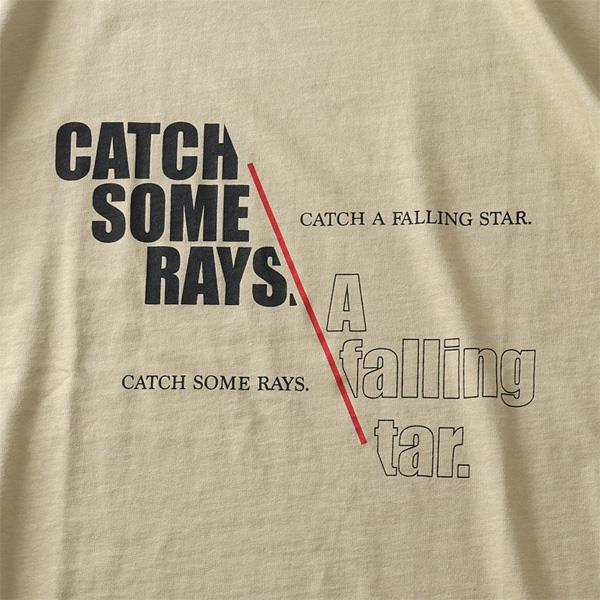 大きいサイズ メンズ DANIEL DODD プリント ロング Tシャツ CATCH SOME RAYS azt-210410