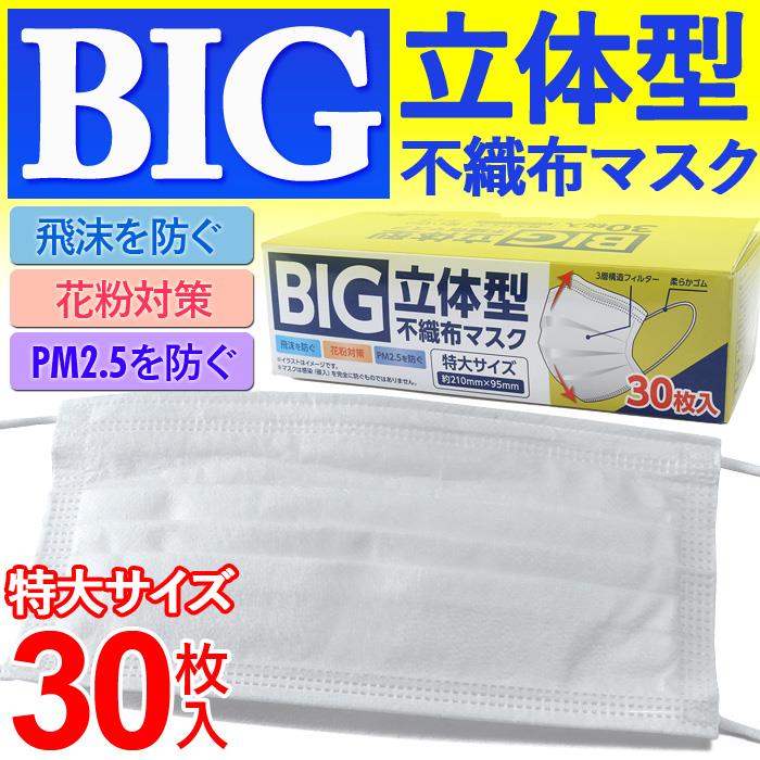 大きいサイズ 3層構造 立体型 不織布 マスク 使い切りタイプ 30枚入 m001