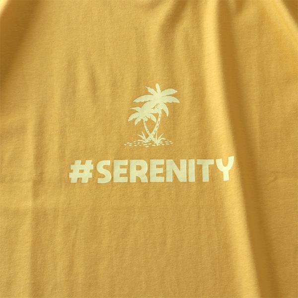 【poki】大きいサイズ メンズ DANIEL DODD プリント ロング Tシャツ SERENITY azt-220103