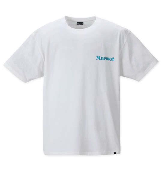 大きいサイズ メンズ Marmot バックスクエアロゴ 半袖 Tシャツ ファーストホワイト 1278-2266-1 3L 4L 5L 6L