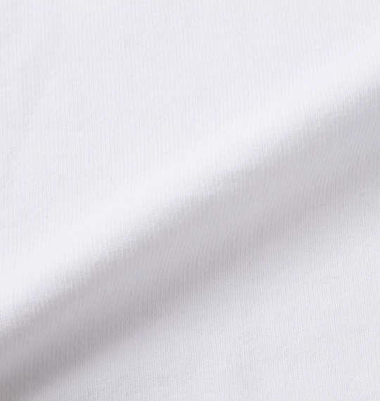 大きいサイズ メンズ RUSTY プリント Tシャツ ホワイト 1278-2580-1 3L 4L 5L 6L 8L