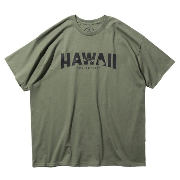 【sh0519】大きいサイズ メンズ HAWAIIAN STYLE ハワイアンスタイル LOCAL MOTION ローカルモーション 半袖 プリント Tシャツ USA直輸入 mts19313