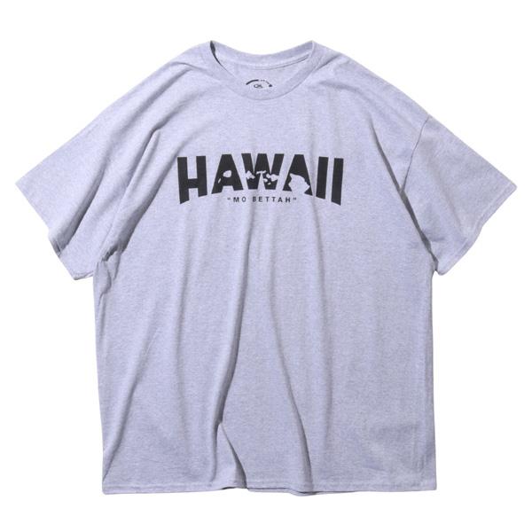 【sh0519】大きいサイズ メンズ HAWAIIAN STYLE ハワイアンスタイル LOCAL MOTION ローカルモーション 半袖 プリント Tシャツ USA直輸入 mts19313