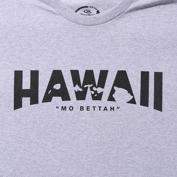 【sh0519】大きいサイズ メンズ HAWAIIAN STYLE ハワイアンスタイル LOCAL MOTION ローカルモーション 半袖 プリント Tシャツ USA直輸入 mts19313