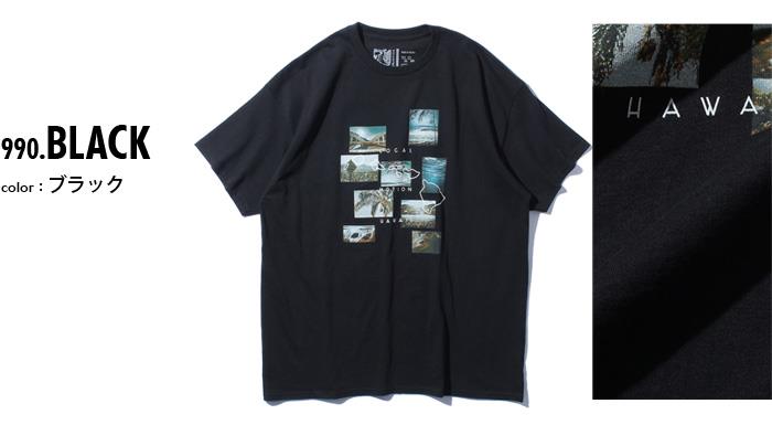 【sh0519】大きいサイズ メンズ LOCAL MOTION ローカルモーション 半袖 プリント Tシャツ USA直輸入 smt19412