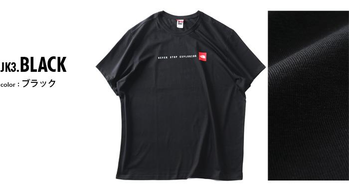 大きいサイズ メンズ THE NORTH FACE ザ ノース フェイス プリント 半袖 Tシャツ NSE TEE USA直輸入 nf0a2tx4-jk3