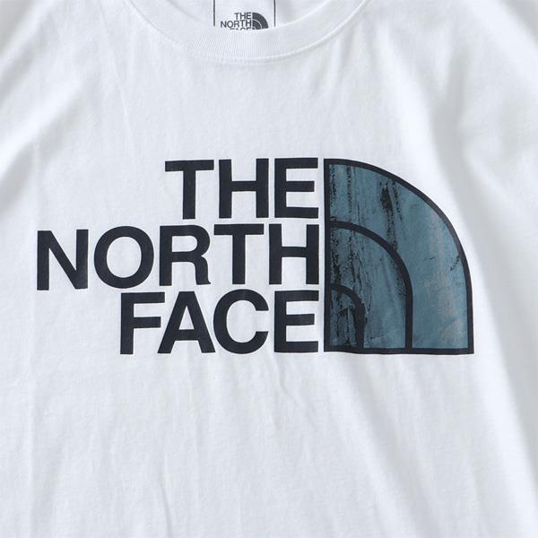 【sh0519】大きいサイズ メンズ THE NORTH FACE ザ ノース フェイス プリント 半袖 Tシャツ HALF DOME TEE USA直輸入 nf0a4m4p-523