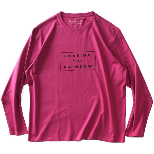 大きいサイズ メンズ DANIEL DODD プリント ロング Tシャツ CHASING THE RAINBOW azt-220405