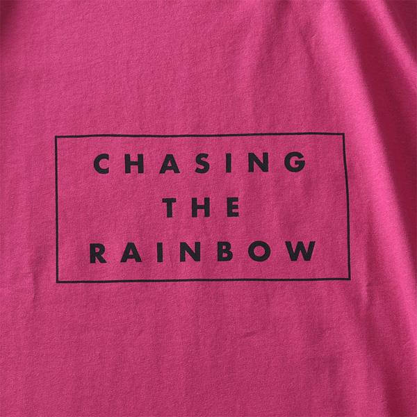 大きいサイズ メンズ DANIEL DODD プリント ロング Tシャツ CHASING THE RAINBOW azt-220405