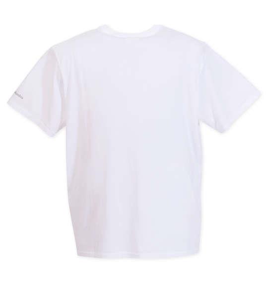 大きいサイズ メンズ Columbia CSC Basic Logo ショートスリーブ Tシャツ ホワイト 1278-2270-1 1X 2X 3X 4X 5X 6X