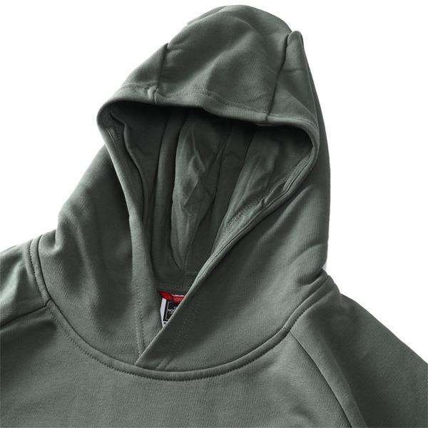 大きいサイズ メンズ THE NORTH FACE ノースフェイス ロゴプリント ラグラン プルオーバー パーカー RAGLAN RED BOX HOODIE USA直輸入 nf0a2zwu-nyc