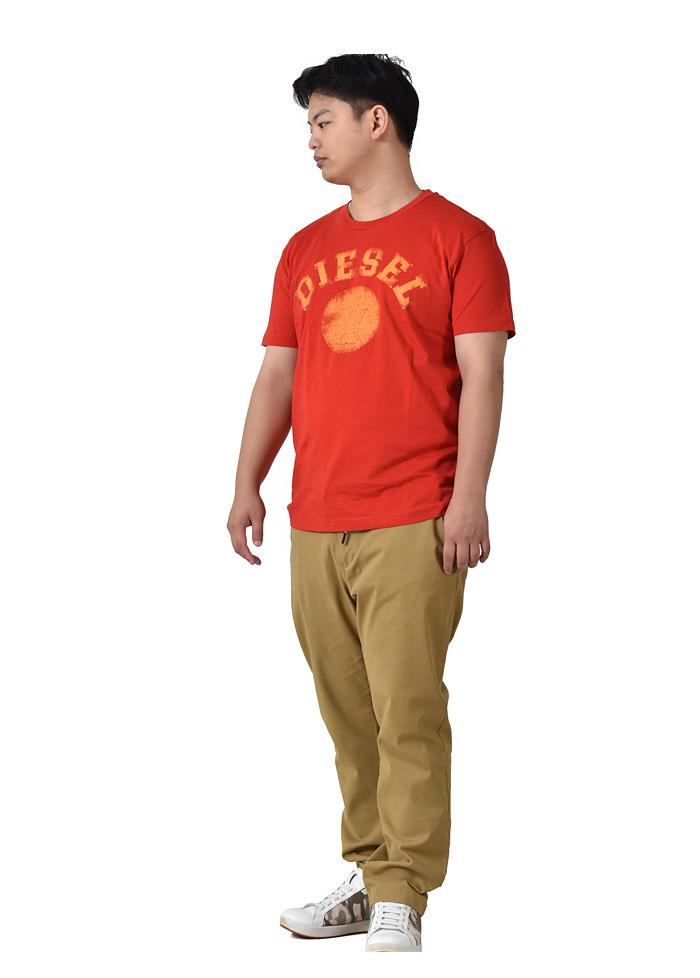 大きいサイズ メンズ DIESEL ディーゼル プリント 半袖 Tシャツ T-DIEGOR-K56 直輸入品 a08682-0grai