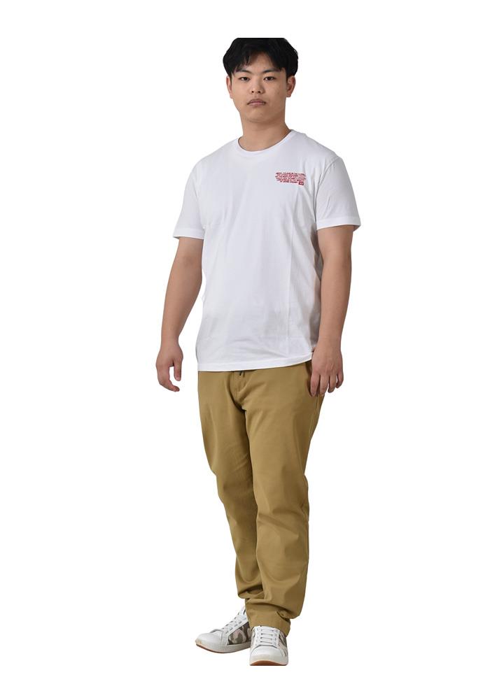 大きいサイズ メンズ DIESEL ディーゼル プリント 半袖 Tシャツ T-DIEGOR-K57 直輸入品 a08696-0grai