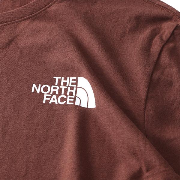 【bb1020】大きいサイズ メンズ THE NORTH FACE ノースフェイス ロンT 長袖 Tシャツ バックプリント BOX NSE TEE USA直輸入 nf0a4762-8c3