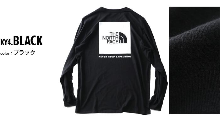 大きいサイズ メンズ THE NORTH FACE ノースフェイス ロンT 長袖 Tシャツ バックプリント BOX NSE TEE USA直輸入 nf0a4762-ky4